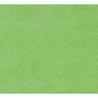 Linkstar fleecedoek FD-109 3 x 6 m chroma groen